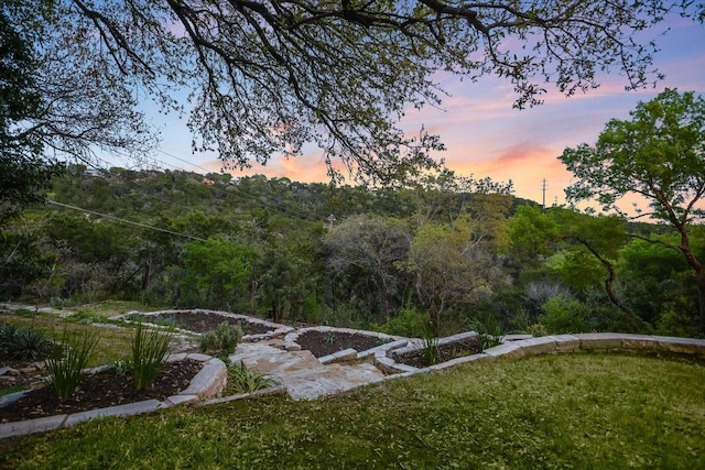 1607 Bay Hill Dr, Austin, TX 78746 - view of grassy yard