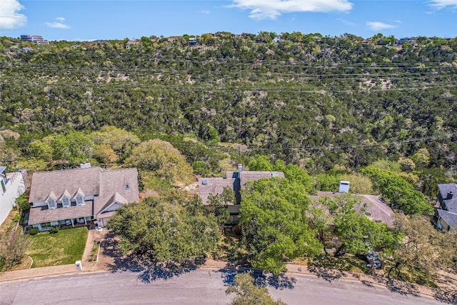 1607 Bay Hill Dr, Austin, TX 78746 - view from above of property