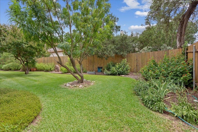 8016 Tahoe Parke Cir, Austin, TX 78726 - view of fenced yard