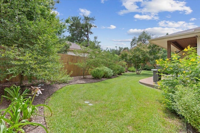 8016 Tahoe Parke Cir, Austin, TX 78726 - view of yard