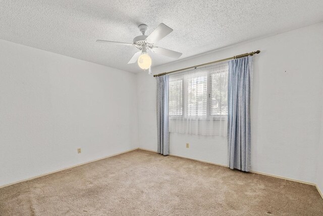 10314 W Darleen Dr, Leander, TX 78641 - photo 20