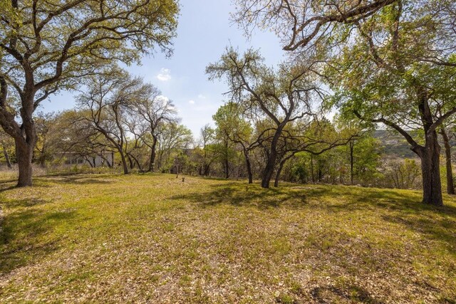 10314 W Darleen Dr, Leander, TX 78641 - photo 27