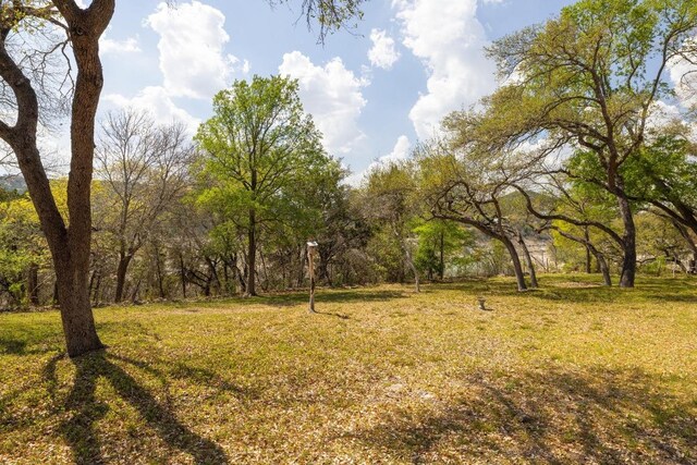 10314 W Darleen Dr, Leander, TX 78641 - photo 28