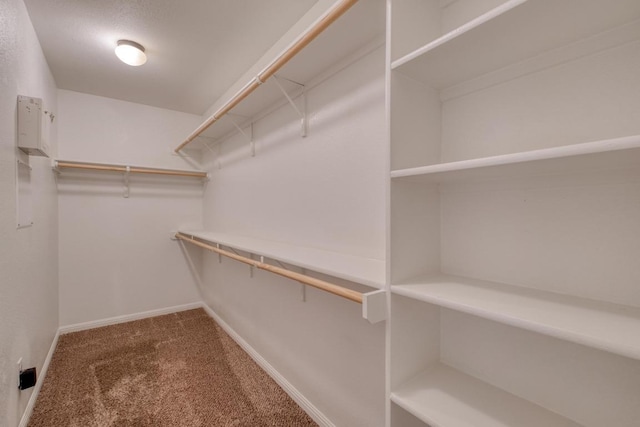 spacious closet with carpet floors