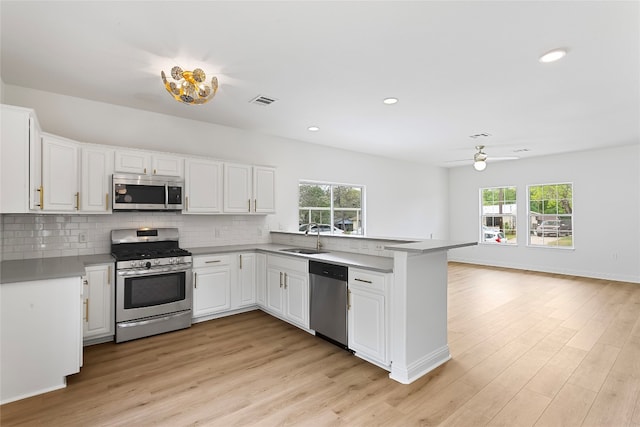 kitchen featuring appliances with stainless steel finishes, a peninsula, a healthy amount of sunlight, a sink, and ceiling fan