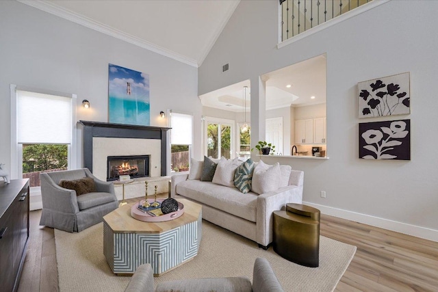 9204 Eddy Cv, Austin, TX 78735 - living area with high vaulted ceiling, crown molding, a glass covered fireplace, wood finished floors, and healthy amount of natural light