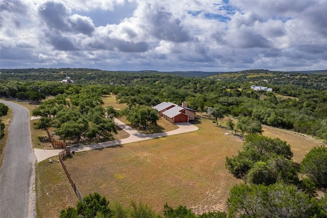 300 Sycamore Valley Rd, Dripping Springs, TX 78620 - photo 5