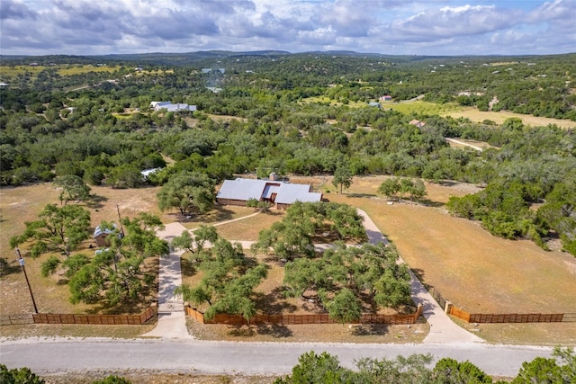 300 Sycamore Valley Rd, Dripping Springs, TX 78620 - photo 1
