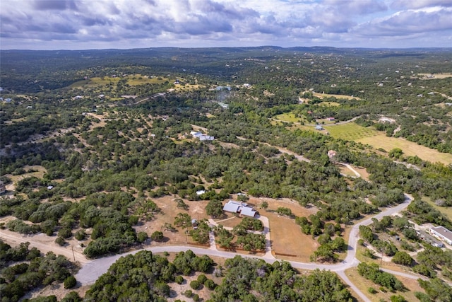300 Sycamore Valley Rd, Dripping Springs, TX 78620 - photo 31