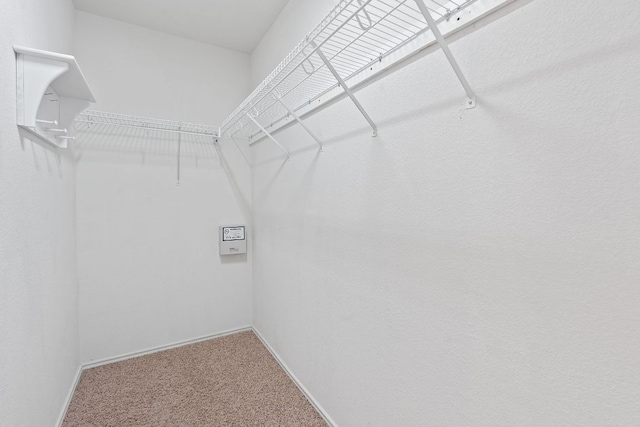 1142 Sundrop Pl, Round Rock, TX 78665 - walk in closet with carpet flooring