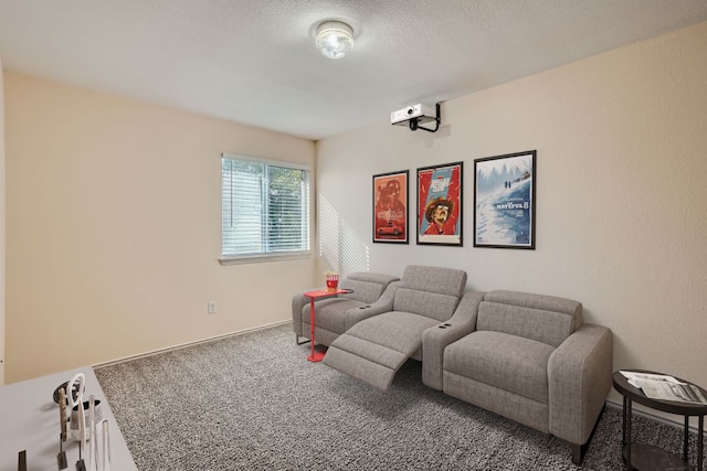 1142 Sundrop Pl, Round Rock, TX 78665 - view of carpeted home theater room
