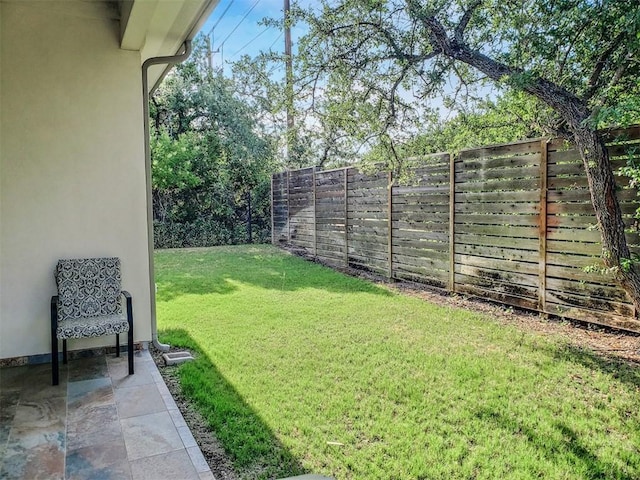 10601 Twisted Elm Dr, Austin, TX 78726 - view of yard