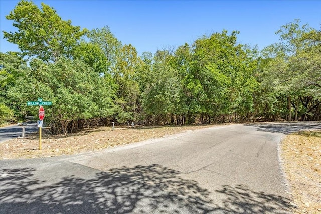 717 Willow Creek Rd, Salado, TX 76571 - photo 4