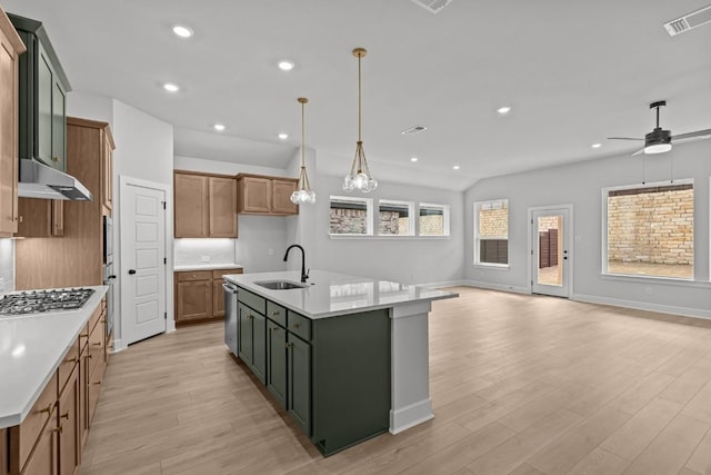 8408 Bouvreuil Dr, Austin, TX 78738 - kitchen featuring a sink, under cabinet range hood, light wood-type flooring, open floor plan, and a center island with sink