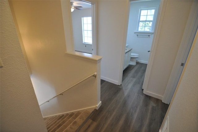 12223 Antoinette Pl, Austin, TX 78727 - corridor featuring baseboards, an upstairs landing, dark wood-type flooring, and a healthy amount of sunlight