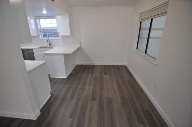 12223 Antoinette Pl, Austin, TX 78727 - kitchen with a sink, stainless steel dishwasher, baseboards, white cabinets, and decorative backsplash
