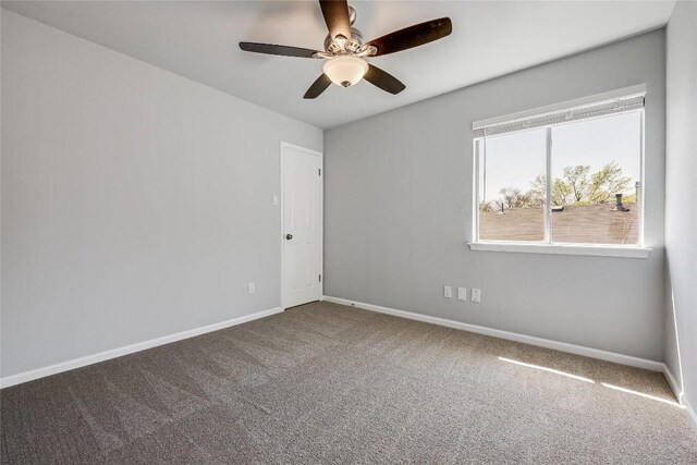 3139 Jazz St, Round Rock, TX 78664 - photo 28