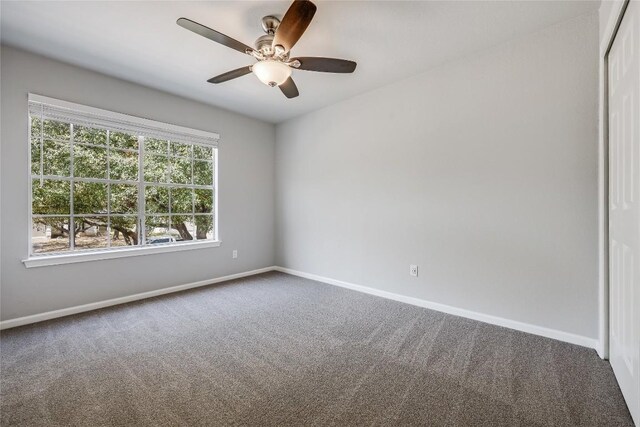 3139 Jazz St, Round Rock, TX 78664 - photo 23