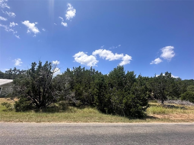 237 Pleasant Valley Rd, Wimberley, TX 78676 - photo 1