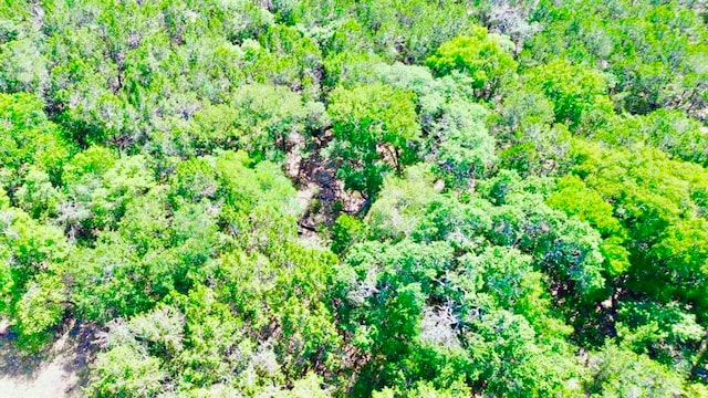 237 Pleasant Valley Rd, Wimberley, TX 78676 - photo 2
