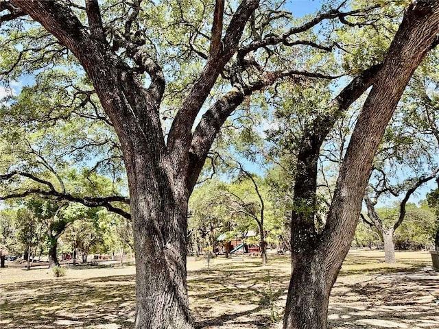 237 Pleasant Valley Rd, Wimberley, TX 78676 - photo 4