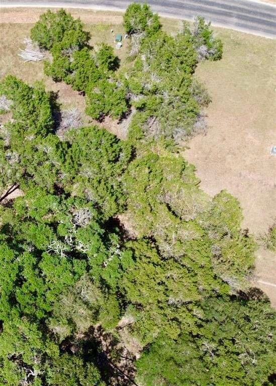 237 Pleasant Valley Rd, Wimberley, TX 78676 - photo 5