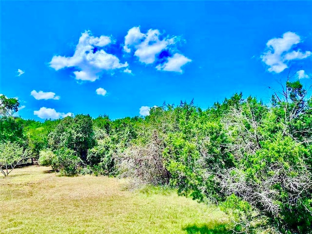 237 Pleasant Valley Rd, Wimberley, TX 78676 - photo 7