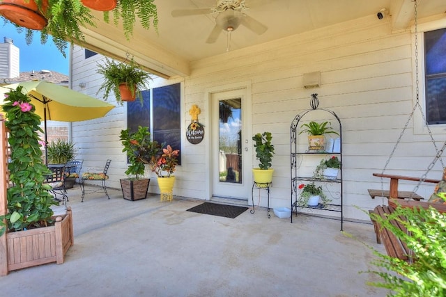 2435 Candle Ridge Trl, Georgetown, TX 78626 - view of exterior entry featuring a patio area and ceiling fan