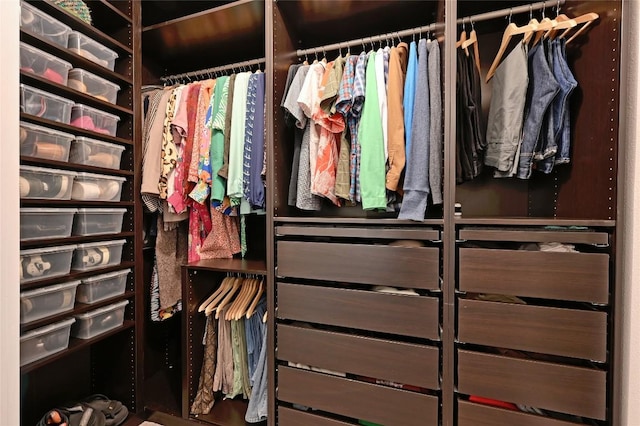view of spacious closet