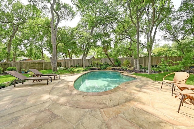 view of swimming pool featuring a patio and a fenced backyard