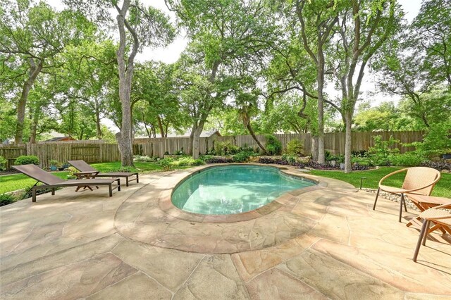9502 Woodshire Dr, Austin, TX 78748 - view of swimming pool featuring a patio area and a fenced backyard