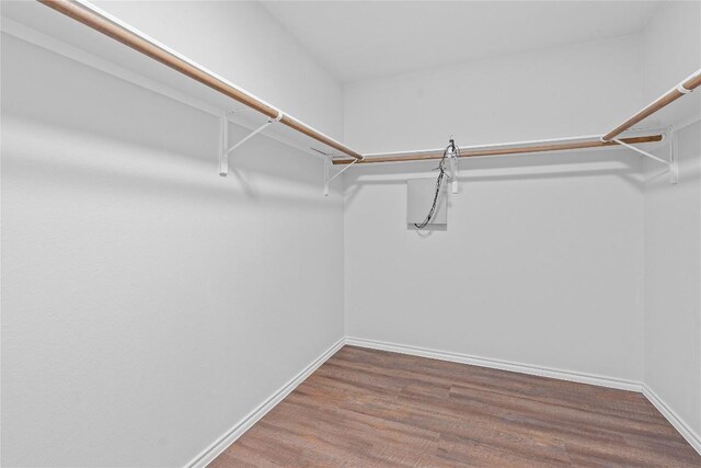 spacious closet featuring wood finished floors