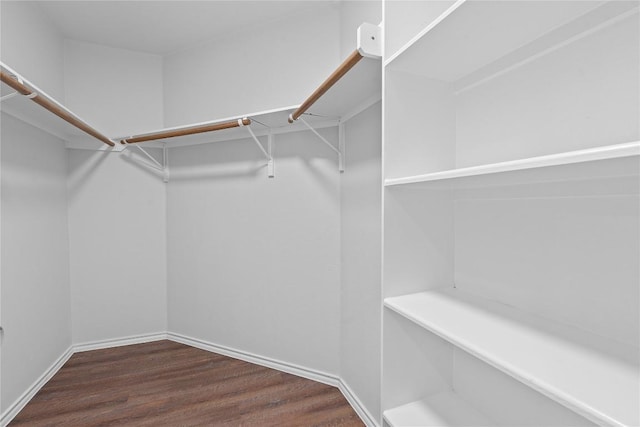 spacious closet featuring dark wood-type flooring