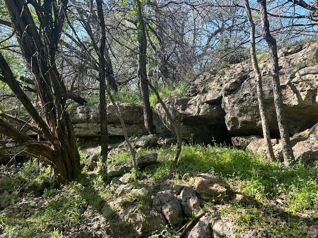 view of nature