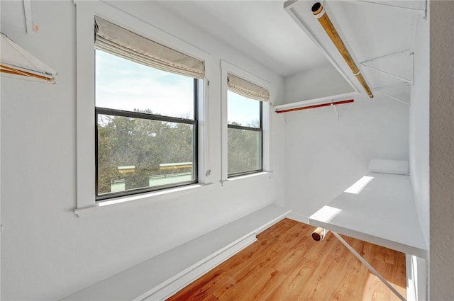 walk in closet with wood finished floors