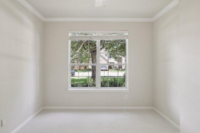 2616 Henley Dr, Round Rock, TX 78681 - photo 29