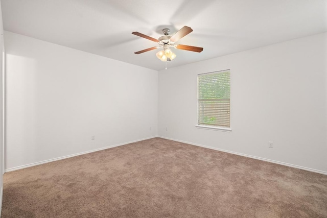 437 Moorhen Cv, Leander, TX 78641 - photo 11