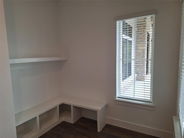 120 NW Strada Luca NW, Florence, TX 76527 - mudroom featuring dark wood finished floors and healthy amount of natural light