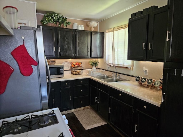kitchen featuring stainless steel appliances, dark cabinets, and a sink