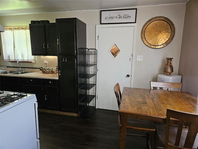 dining room featuring dark wood-style floors