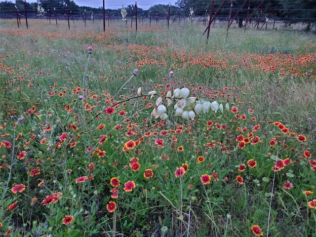 TBD Hidden Springs Drive, Salado, TX 76571