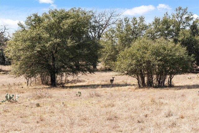 TBD Hidden Springs Drive, Salado, TX 76571