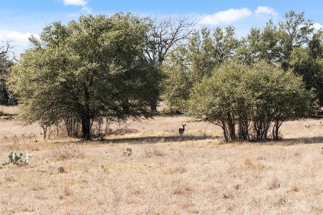 TBD Hidden Springs Drive, Salado, TX 76571 - photo 6