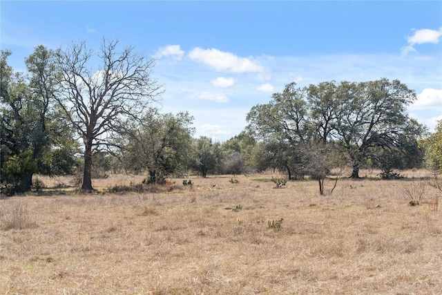 TBD Hidden Springs Drive, Salado, TX 76571 - photo 8