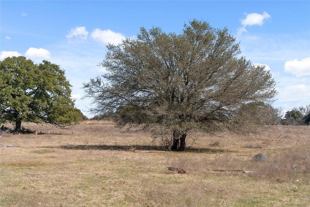 TBD Hidden Springs Drive, Salado, TX 76571 - photo 9