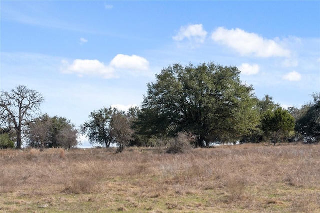 TBD Hidden Springs Drive, Salado, TX 76571 - photo 10