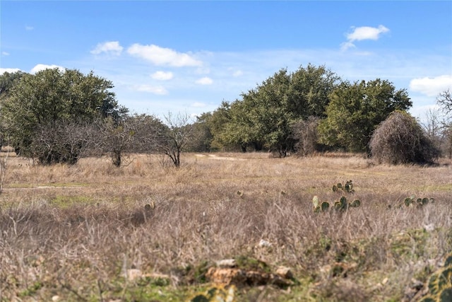 TBD Hidden Springs Drive, Salado, TX 76571 - photo 11
