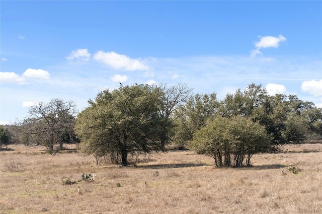 TBD Hidden Springs Drive, Salado, TX 76571 - photo 12