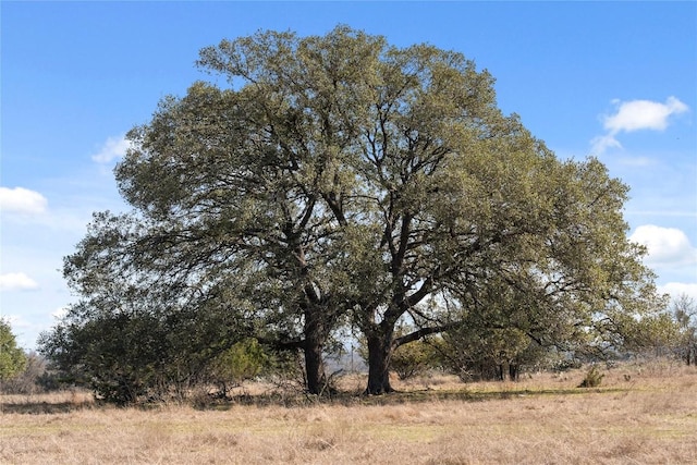TBD Hidden Springs Drive, Salado, TX 76571 - photo 14