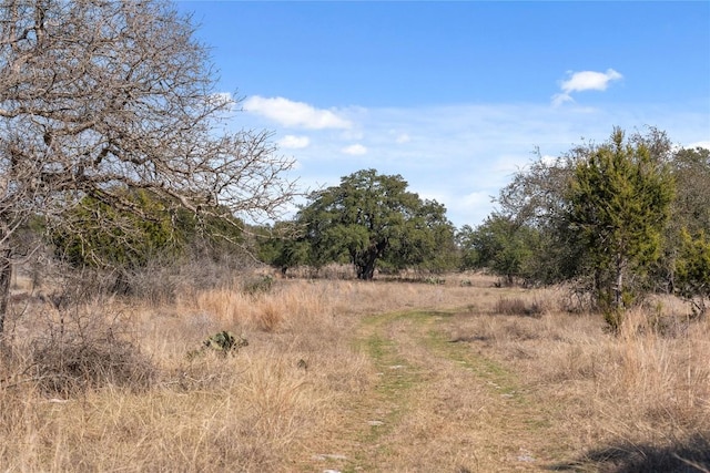 TBD Hidden Springs Drive, Salado, TX 76571 - photo 16